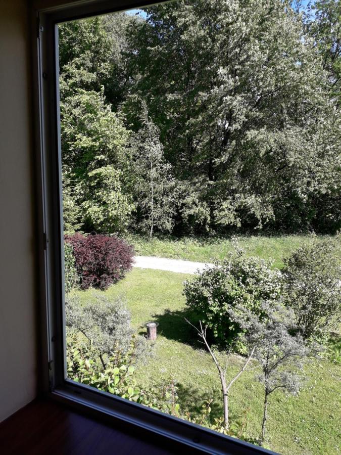 Agrohaczow Za Rzeka Apartament 8-Osobowy エクステリア 写真